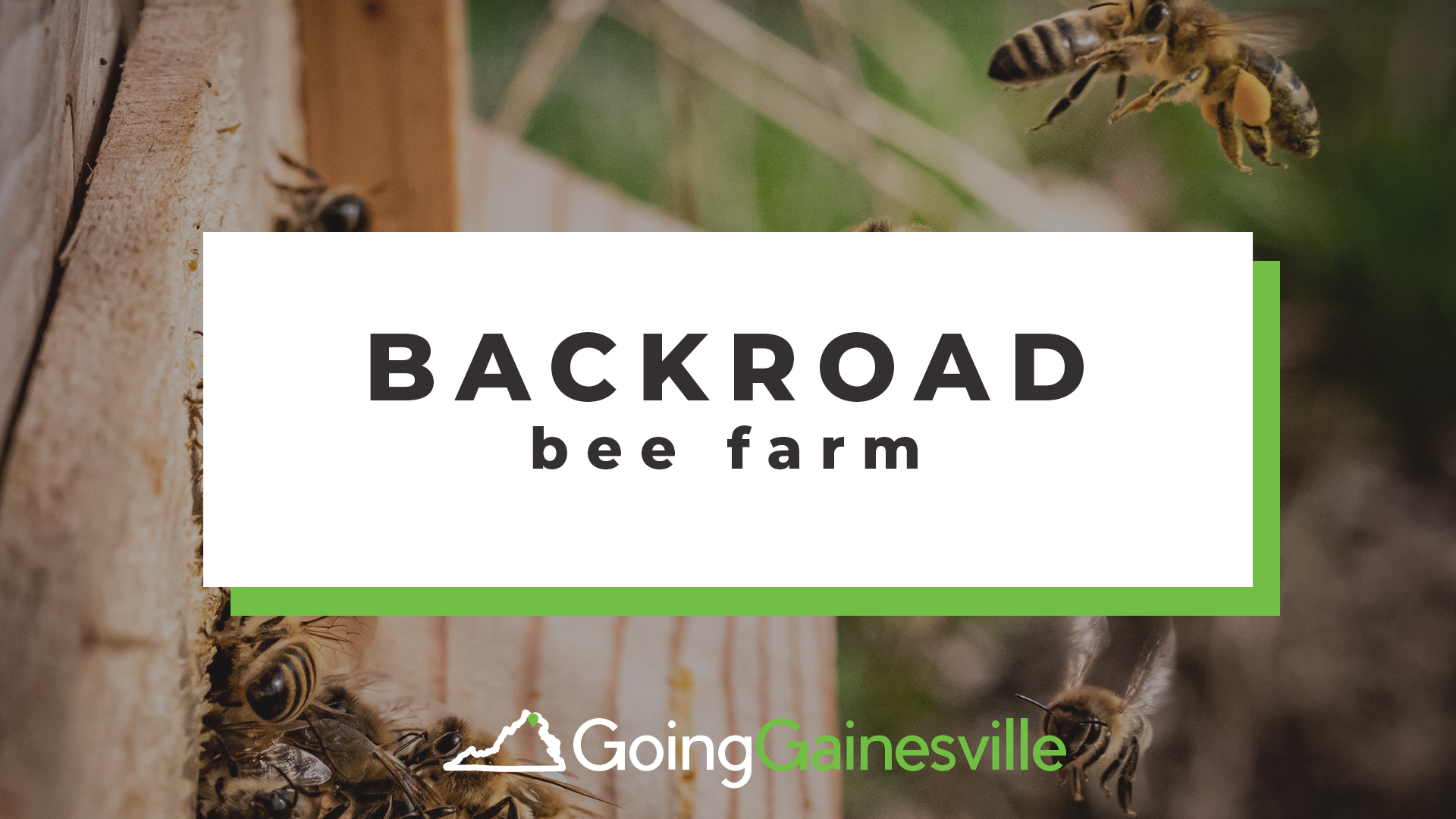 Back Road Bee Farm