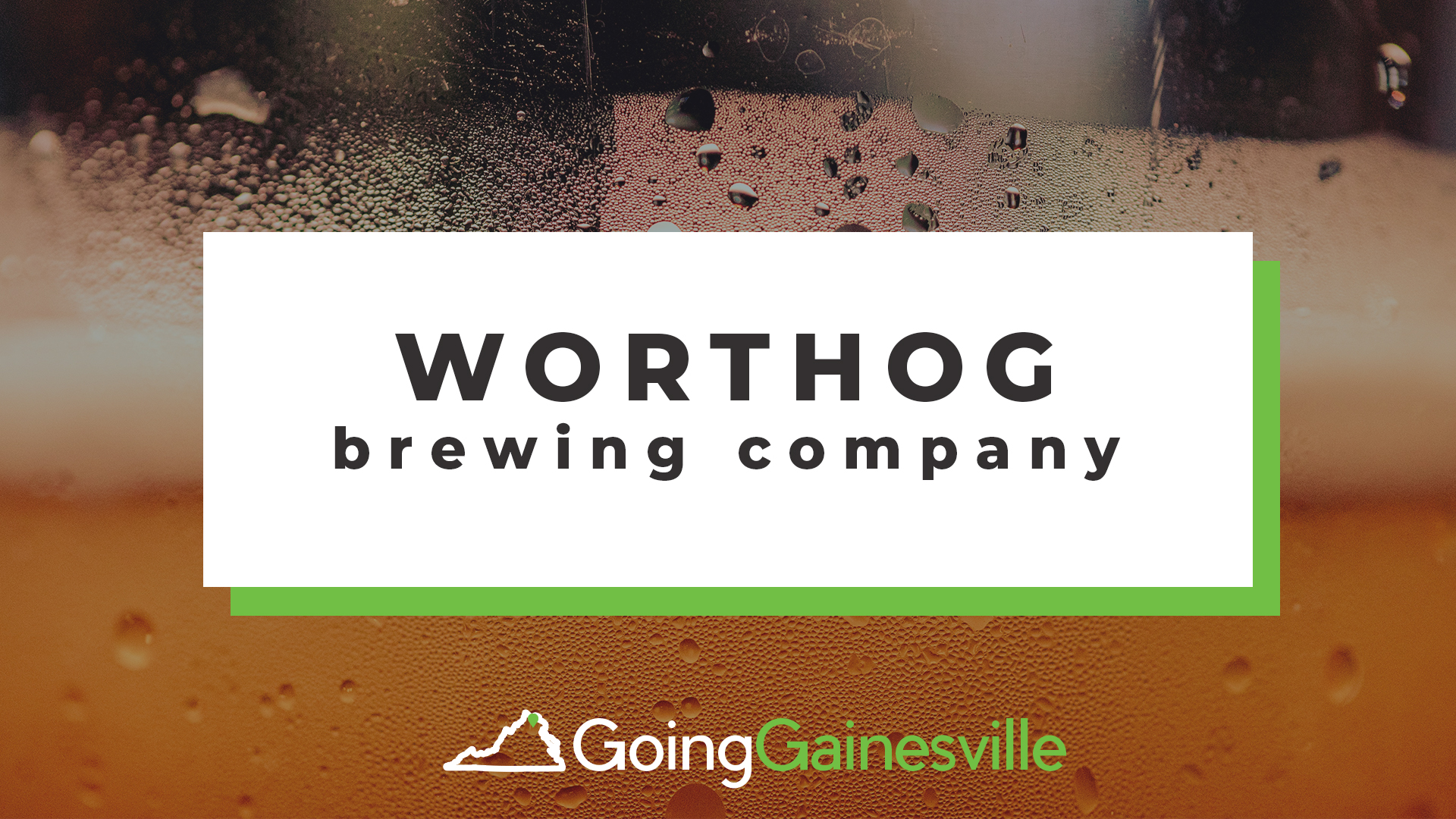 Wort Hog Brewing Company